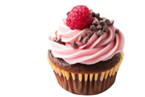 Delicious chocolate cupcake topped with pink frosting, fresh raspberry, and chocolate chips. Perfect for dessert lovers. png
