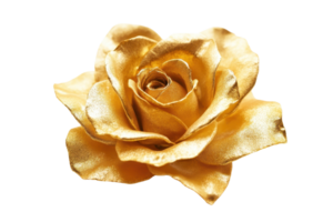 Close-up of a stunning golden rose with intricate petal details, symbolizing beauty, luxury, and elegance. png