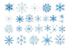 Collection of intricate blue and white snowflake designs isolated on a transparent background, showcasing unique and detailed patterns. png