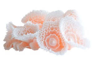 Beautiful abstract coral sculpture with intricate patterns and soft peach hues. Artistic marine-inspired design ideal for decoration. png