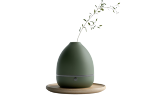 A minimalist green diffuser with a wooden base and a single branch. Perfect for modern home decor and aromatherapy use. png