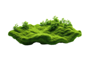 A lush, green patch of moss isolated on a transparent background. showcasing its natural texture and vibrant color. png
