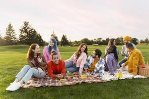 Group of friends having fun, relaxing, enjoying picnic on summer meadow at sunset time photo
