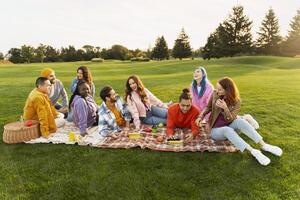 Diverse group of friends having fun, enjoying picnic in the park photo