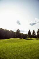 Empty golf course with lush green grass and trees photo