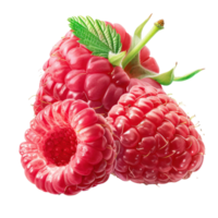 Raspberry whole and a half, clipping path isolate on transparency background png