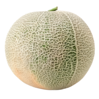 Cantaloupe front view full length isolate on transparency background png