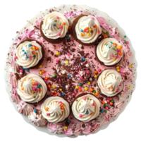 Ice-cream cake top view full length isolate on transparency background png