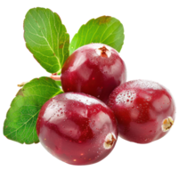 Cranberry with green leaves, clipping path isolate on transparency background png