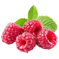 Raspberry with a slice Raspberry isolate on transparency background png