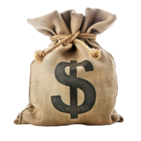 Money bag with on it isolate on transparency background png