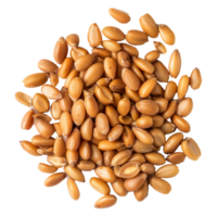heap of Pine Nuts top view isolate on transparency background png