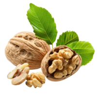 Walnuts with leaves isolate on transparency background png