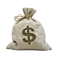 Money bag isolate on transparency background png