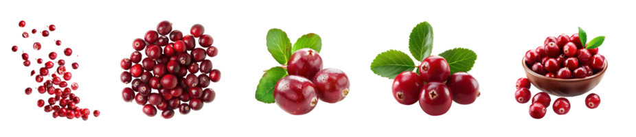 Falling Cranberries and slices isolate on transparency background png