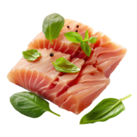 floated slice of fresh raw fish isolate on transparency background png