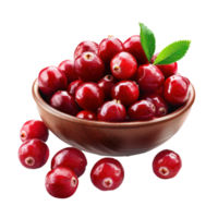 Fresh Cranberry, clipping path isolate on transparency background png