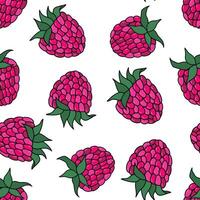 cute seamless pattern of hand-drawn raspberry berries. illustration on white background. vector