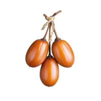 Three fresh dates on a branch isolated on transparent background png