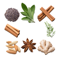 Assorted herbs and spices mix including sage, lavender, and cinnamon on transparent background png