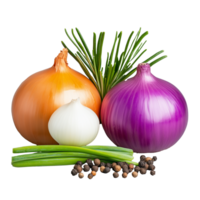 Assorted onions with herbs and spices isolated on transparent background png