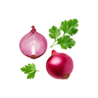 Onion with coriander leaf on transparent background png