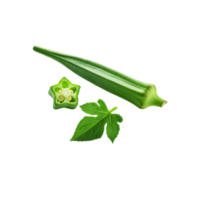 Fallen okra with with slice and green leaf on transparent background png