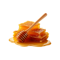 Fresh Honeycomb with honey on transparent background png