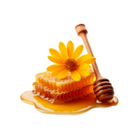Fresh Honeycomb with yellow flower on transparent background png