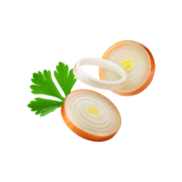 Sliced onion with coriander leaf on transparent background png