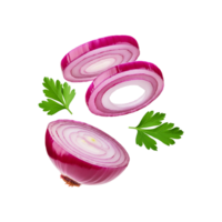 Fresh sliced onion with green coriander leaf on transparent background png