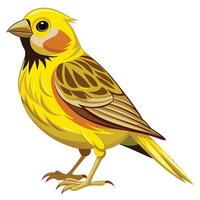 Smooth Canary Line Design vector