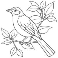 Simple Bird on Tree Branch Sketch vector