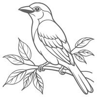 Bird Perched on Tree Limb Drawing design vector