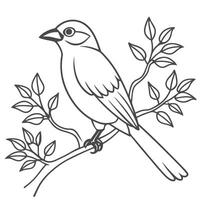 Tree Branch with Bird Outline for kid vector