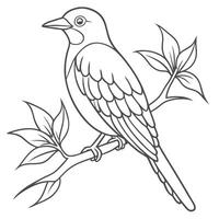 Outline of Bird Resting on Branch vector