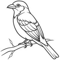 Bird on Branch Line Art vector