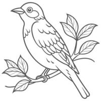 Bird Perched on Tree Branch Outline vector