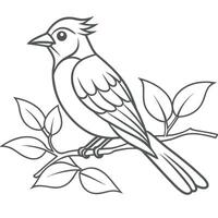 Bird Silhouette on Tree Limb vector