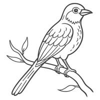 Bird Perched on Tree Limb Drawing vector