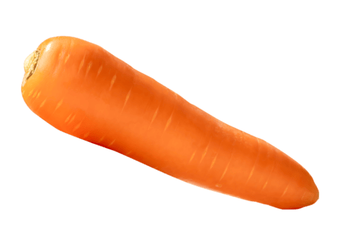 sida se av ett färsk orange morot isolerat med klippning väg i fil formatera png