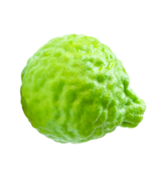 Side view of single fresh bergamot fruit or kaffir lime isolated with clipping path in file format png