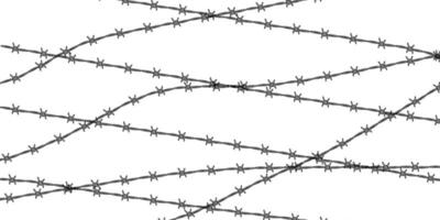 Barbed wire background. Protection concept. Design element for military, security, prison, slavery concepts vector