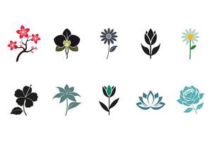 Stylized Illustrations of Various Flower Species vector