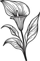 sketch of iris flowers, calla flower line drawings, hand-painted calla flower wall art, botanical iris flower wall art, simple calla flower drawings, calla lily outline drawing, calla flwoer line art vector