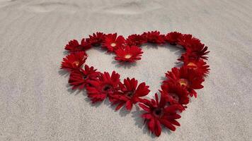 Red daisies arranged in a heart shape on sand, symbolizing love and Valentines Day romance video