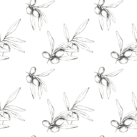 Olives and olive branches sketched in pencil. Minimalistic drawing seamless pattern. This illustration is ideal for home decor, textiles, or wallpaper, adding an organic botanical element png