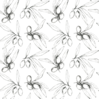 Olives, leaves and branches delicately drawn in pencil create a seamless pattern. This hand drawn illustration is suitable for textiles, wallpaper, or paper products like wrapping paper or notebooks png