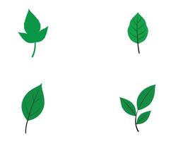 Green Leaf's Set On White Background vector