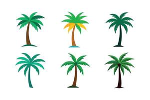 Beautiful Realistic Palm Tree Bundle vector